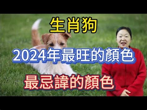 屬狗的顏色|2024屬狗幸運色：綠色與紅色助運指南 